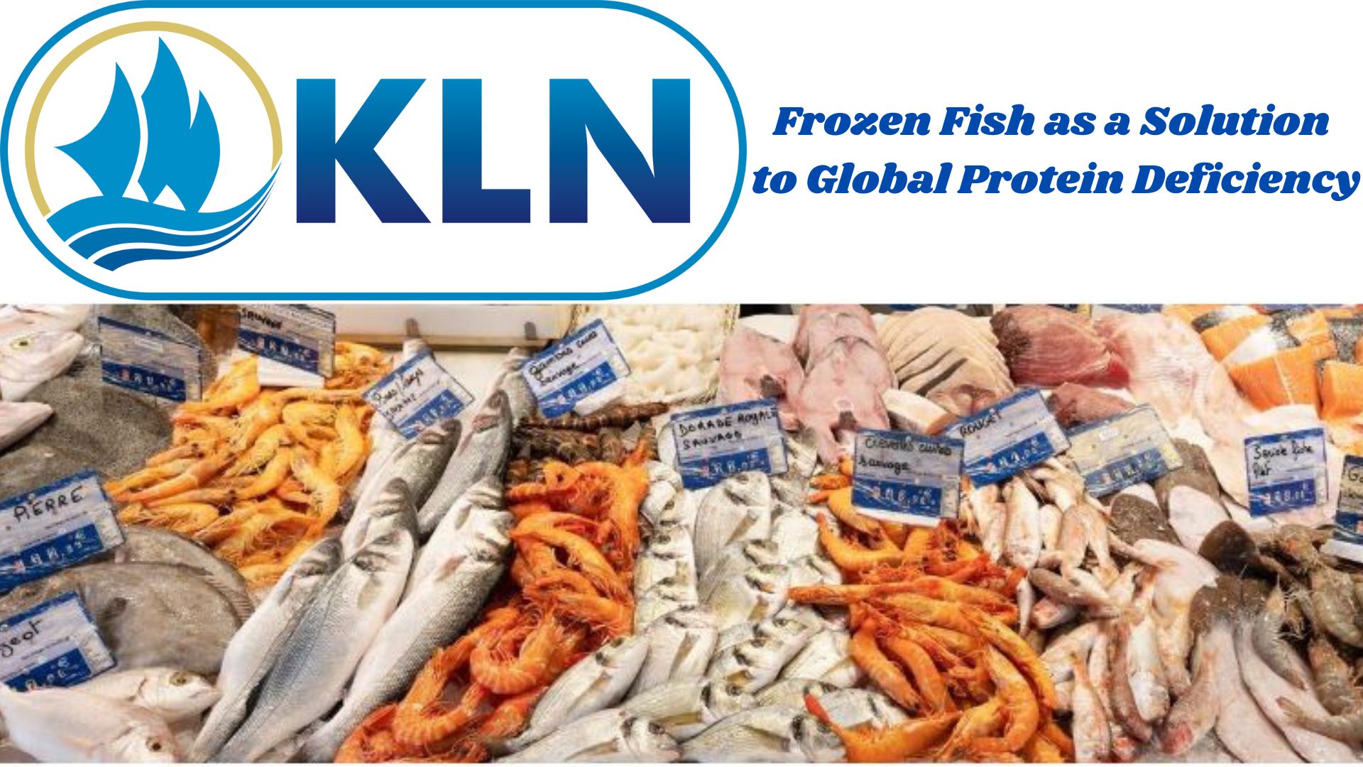 Frozen Fish as a Solution to Global Protein Deficiency